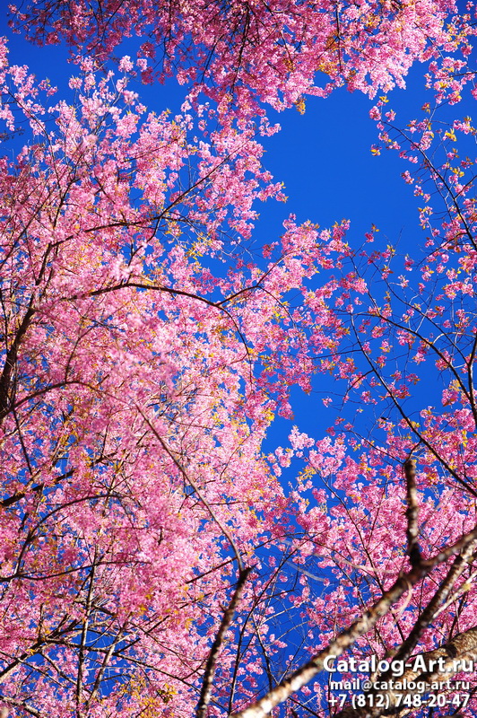 Blossom tree 136